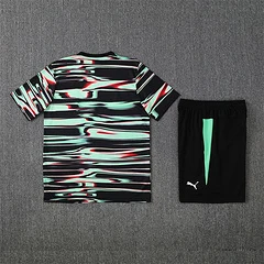 2025-26 Portugal Green and Black [Camouflage] Short Sleeve Training Jersey view 16