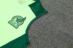 2024-25 Mexico training vest view 8