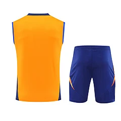 2024-25 Juventus training vest jersey view 17