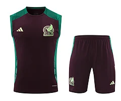 2024-25 Mexico training vest jersey view 21