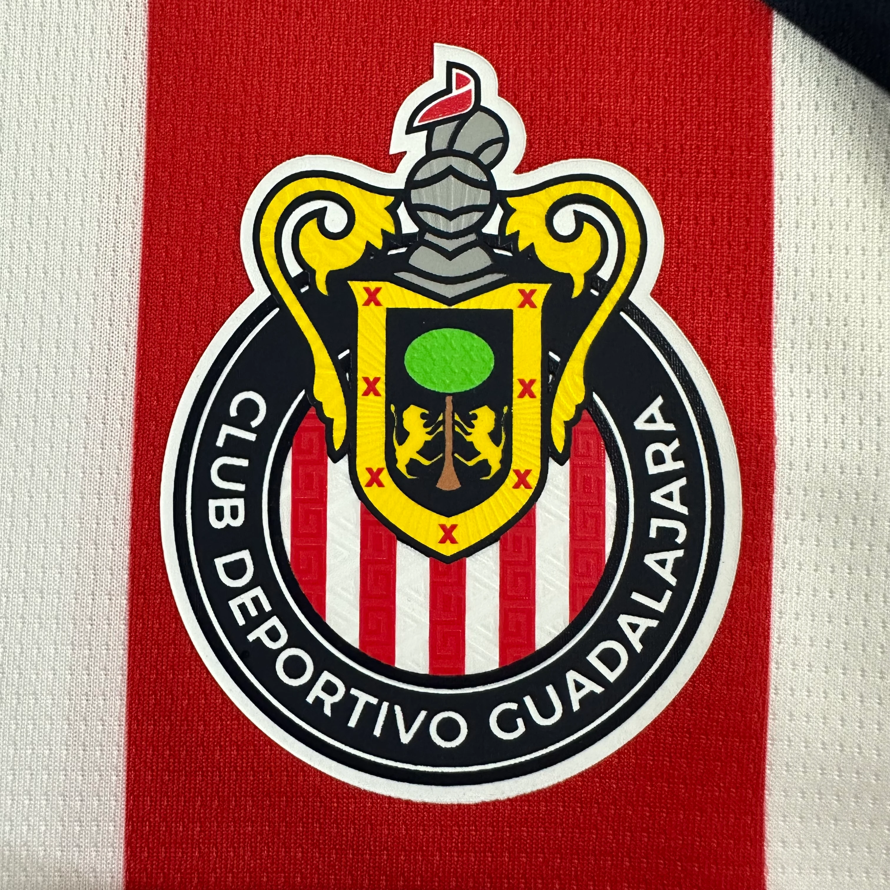 2025-26 Chivas Away Kit view 3