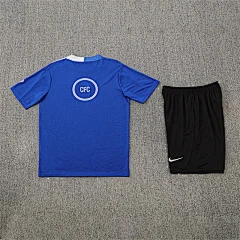 2025-26 Chelsea Blue T90 Short Sleeve Training Shirt view 18