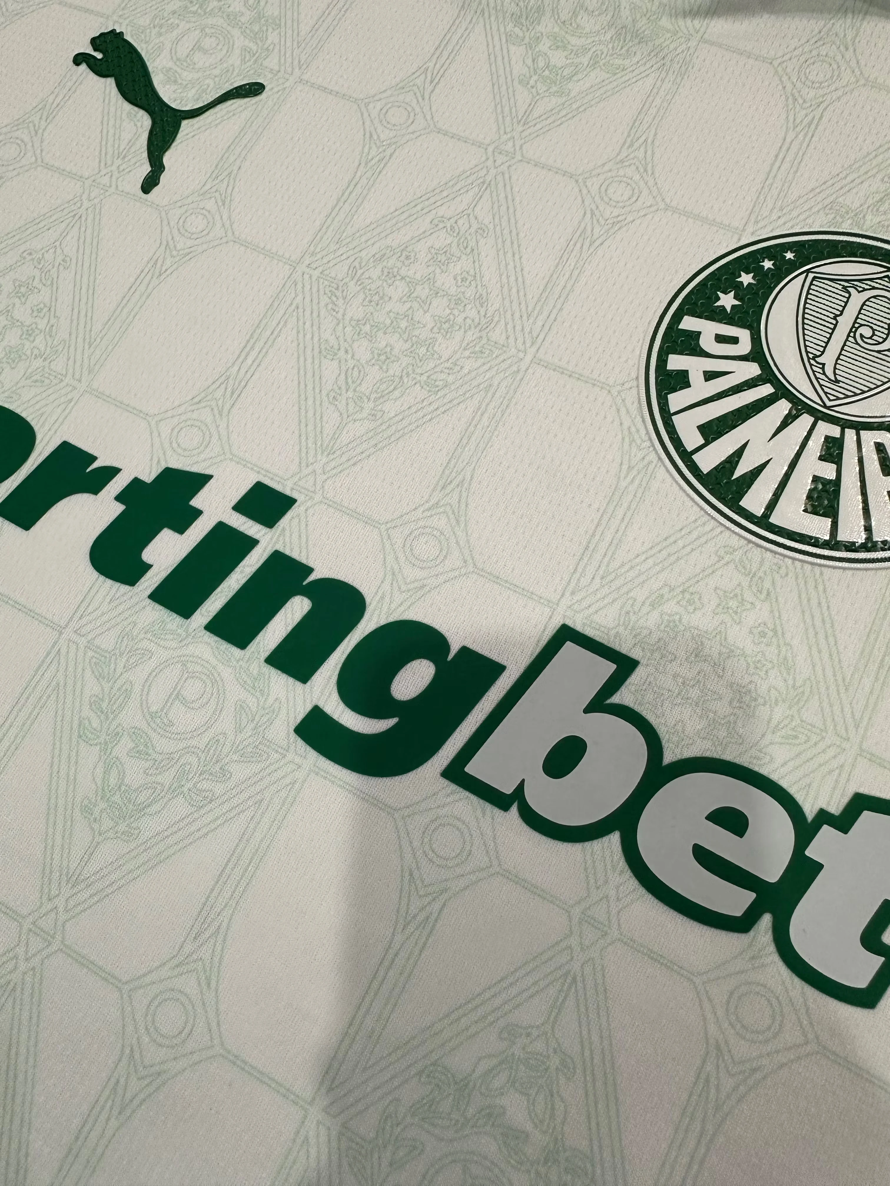 2025-26 Palmeiras Away Jersey – Player Version view 5