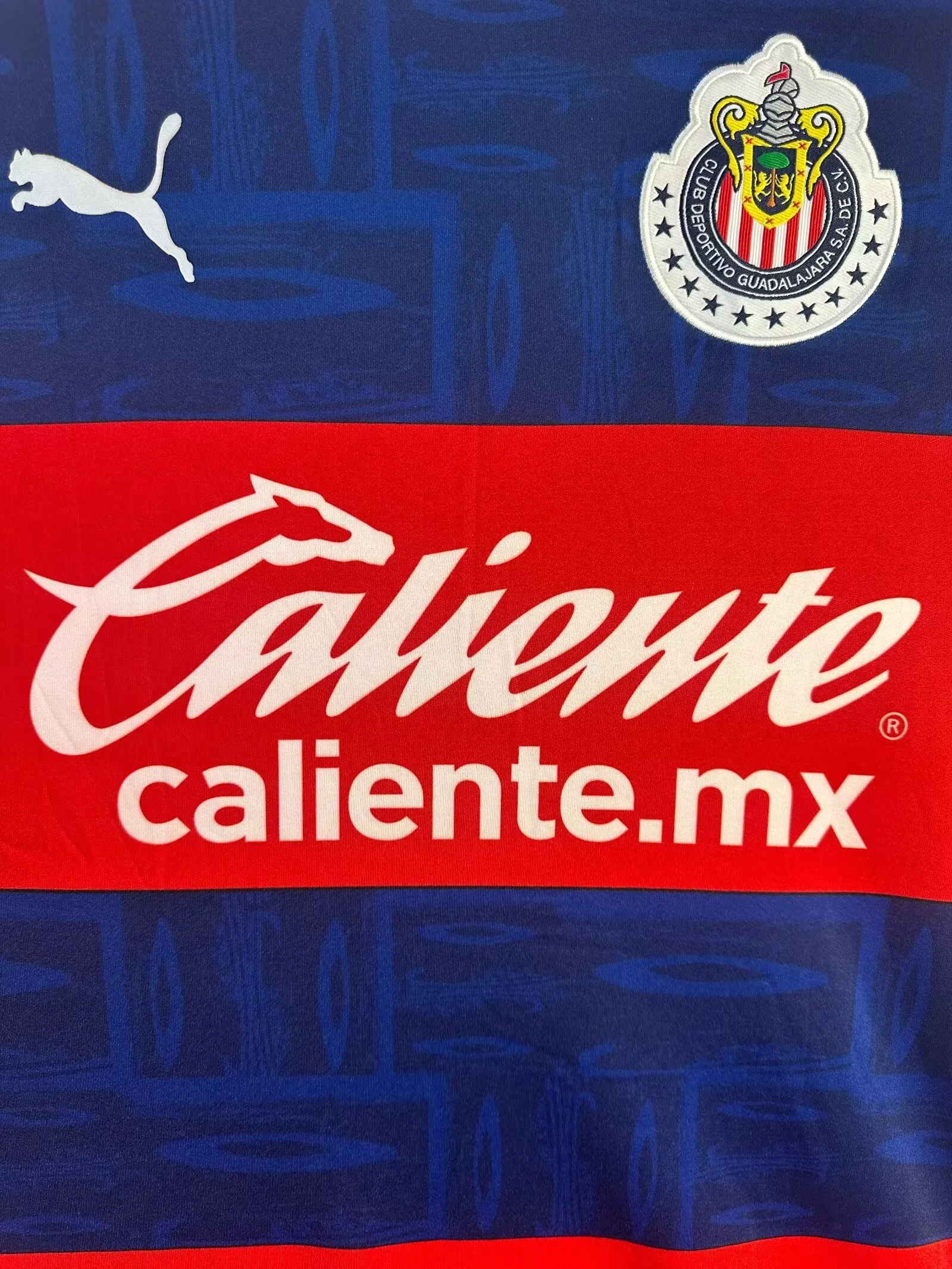 2019-20 Chivas Away Long Sleeve Retro Jersey view 4