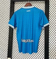 2025-26 Napoli Home Jersey view 2