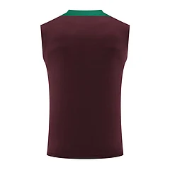 2024-25 Paris Saint-Germain training vest view 14