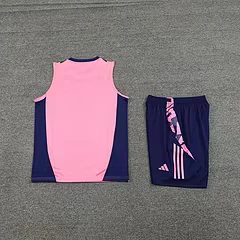 2024-25 Arsenal training vest jersey view 10