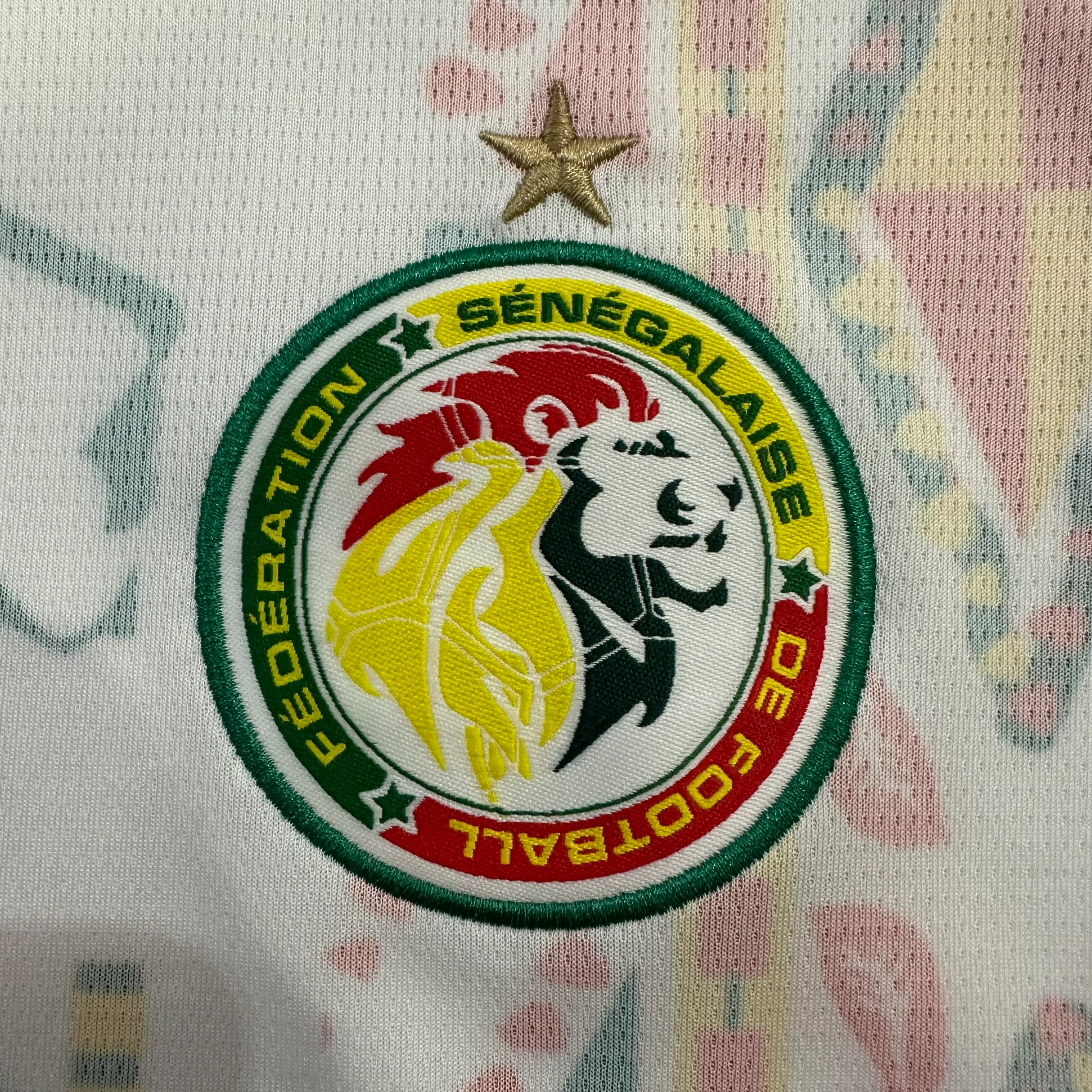 2026-27 Senegal Away Jersey view 7