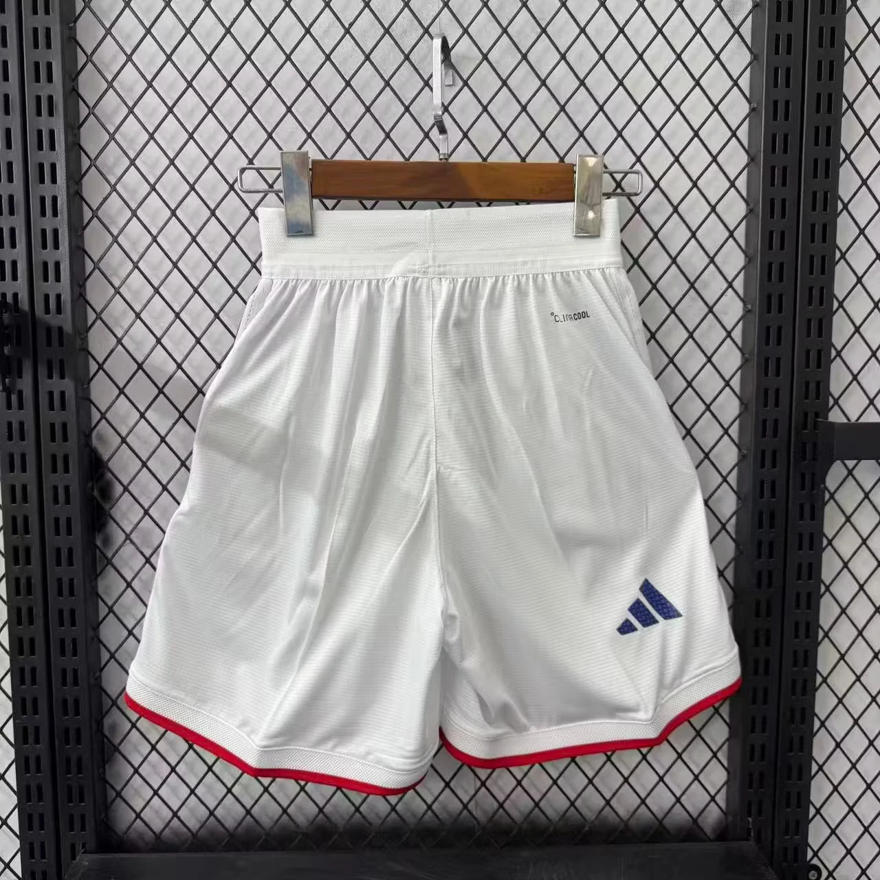 2026-27 Japan Home Shorts - Player Version view 2