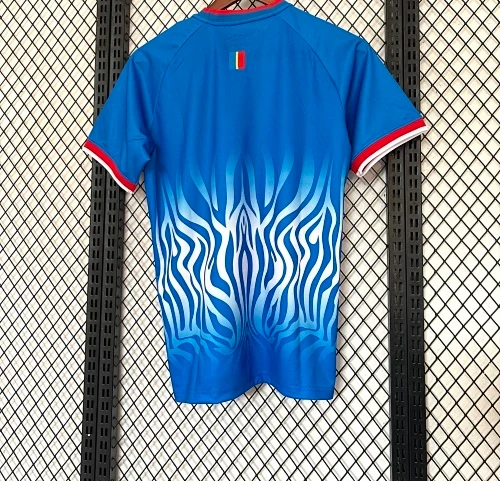2026 Congo Home Jersey - Fan Edition view 2