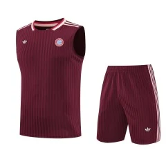 2025-26 Bayern Munich training vest jersey view 3