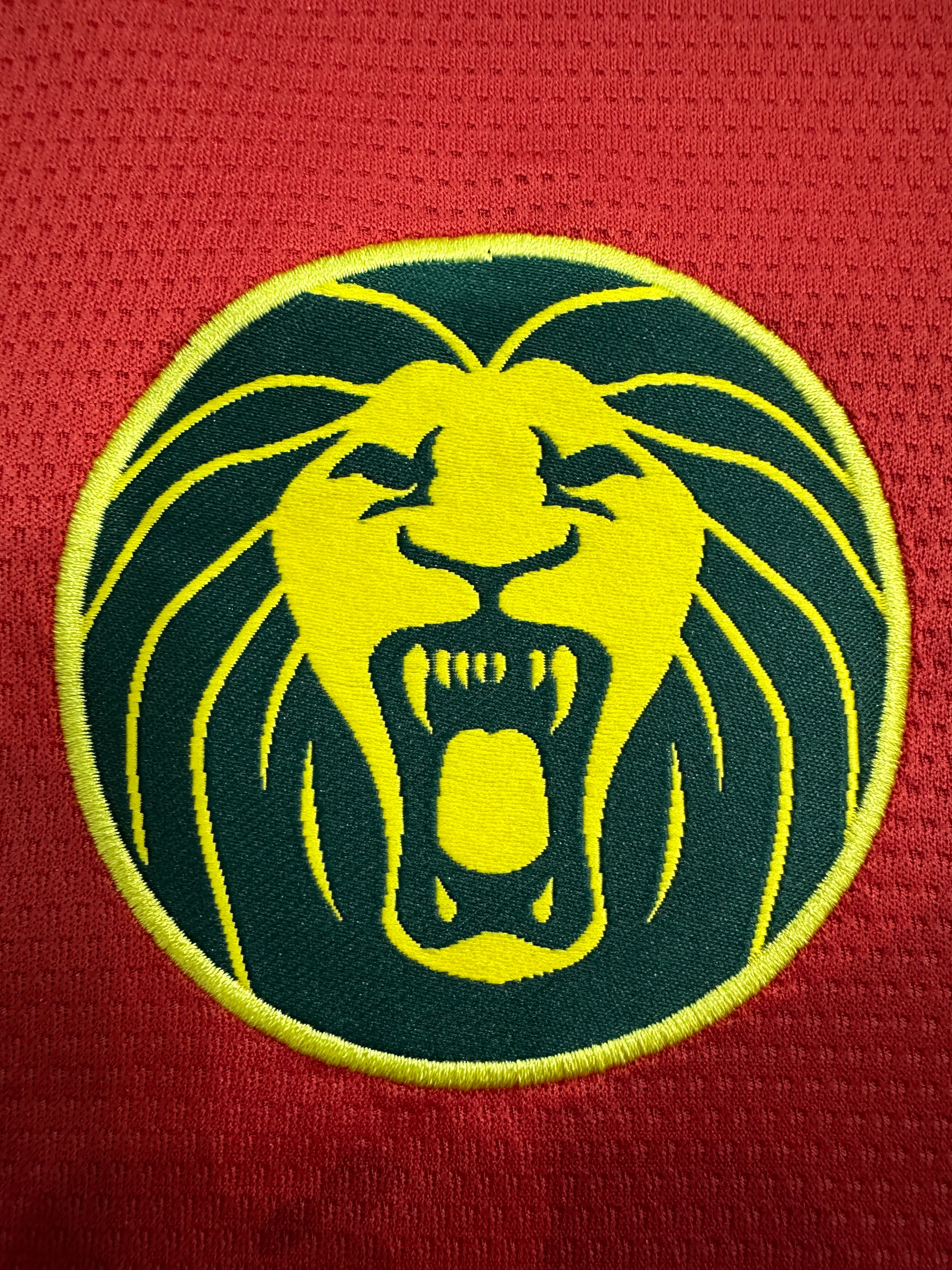 2025-26 Cameroon Away Jersey view 4