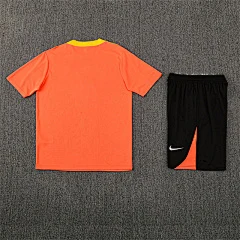 2025-26 Brazil Orange Short Sleeve Training Jersey view 17