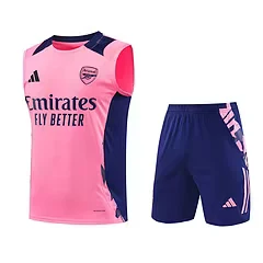 2024-25 Arsenal training vest jersey view 19