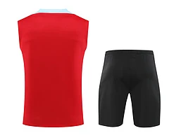 2024-25 Barcelona vest training jersey view 16