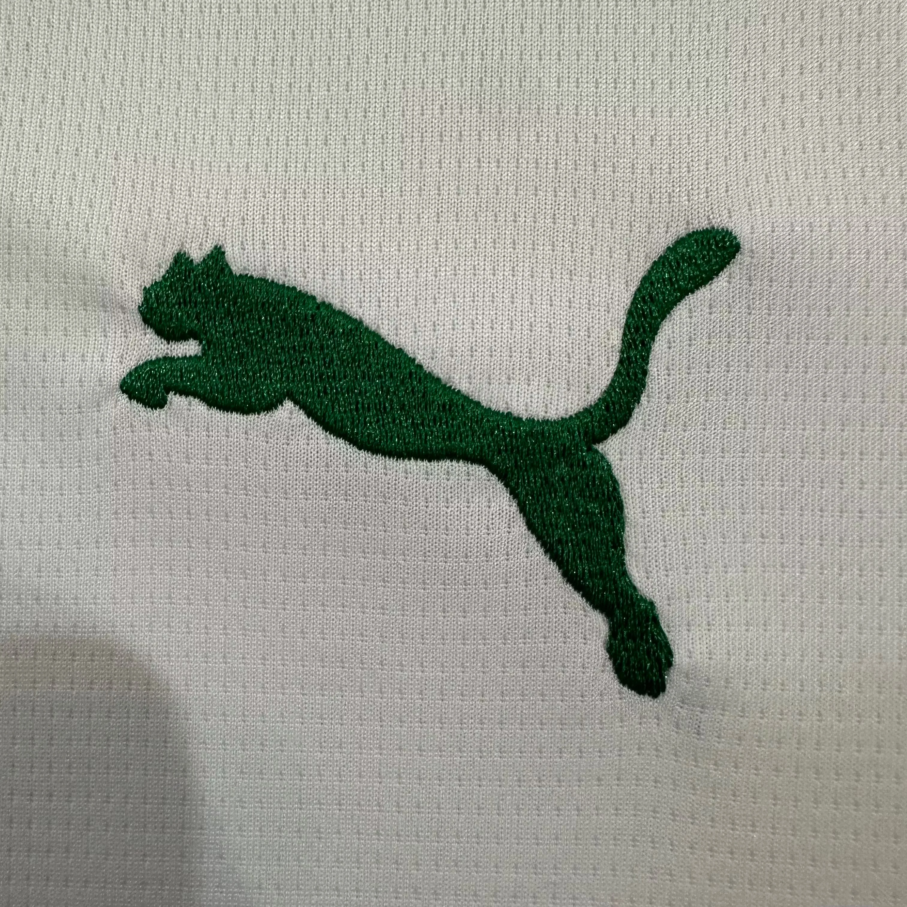 2026-27 Palmeiras Away Jersey – Fan Version view 7