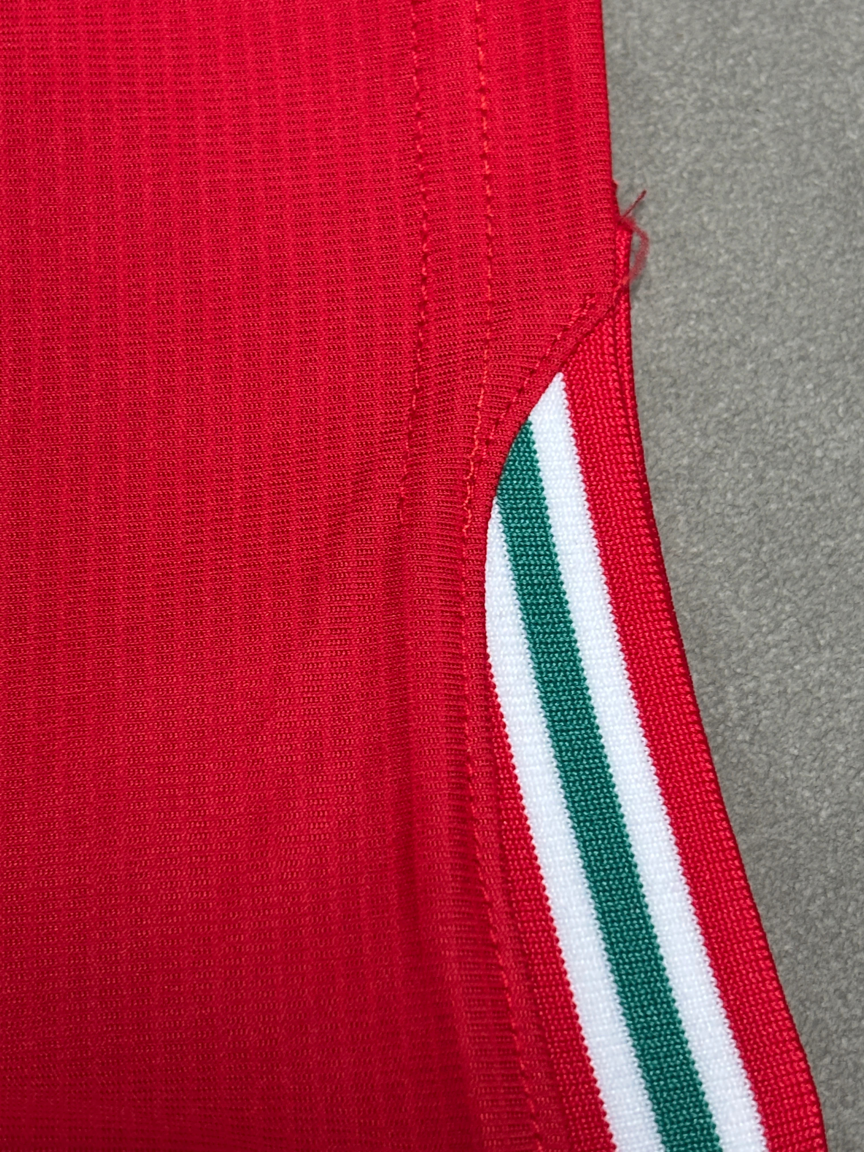 2026-27 Wales Home Jersey – Fan Version view 3