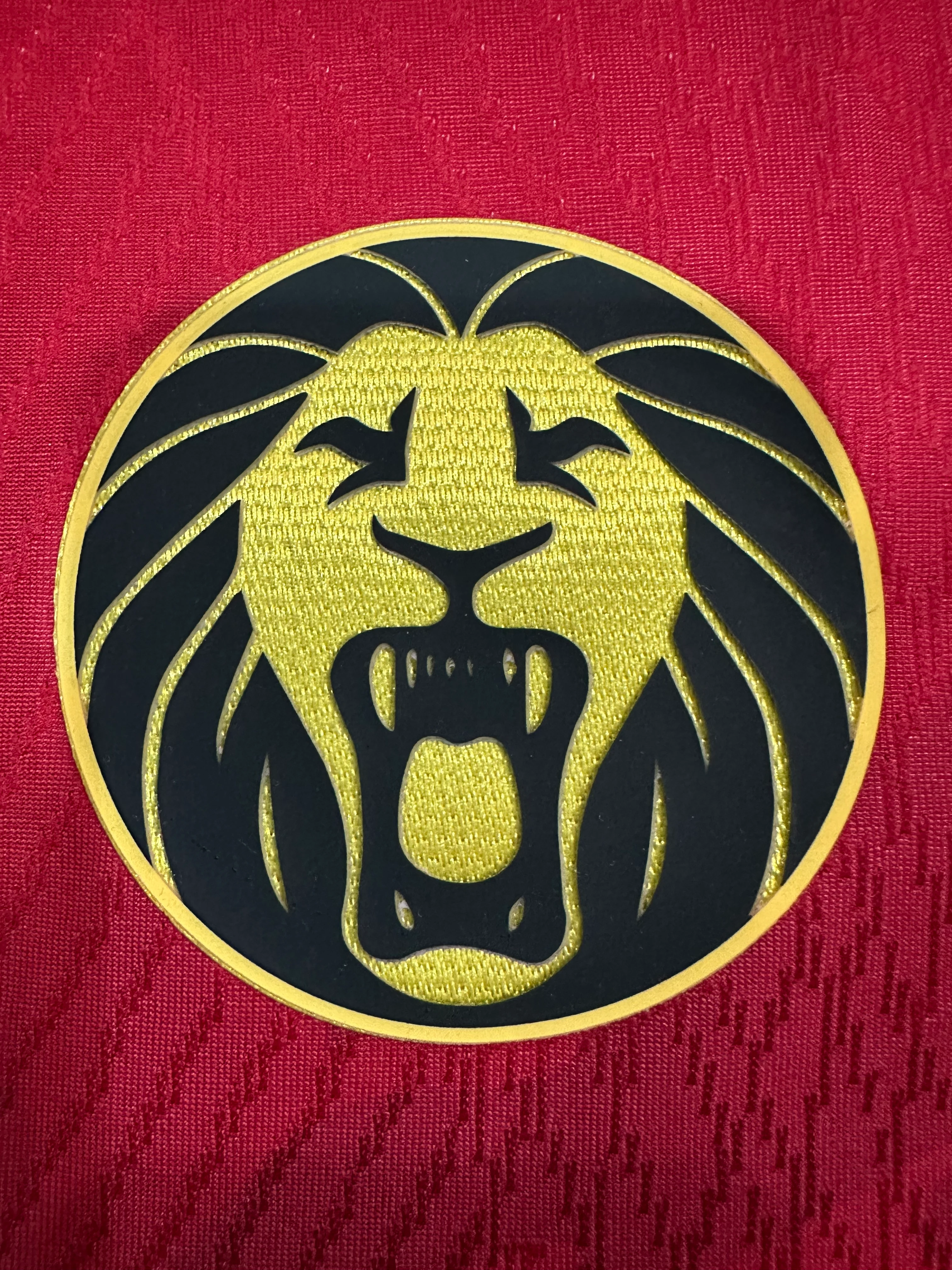 2025-26 Cameroon Away Jersey – Player Version view 5