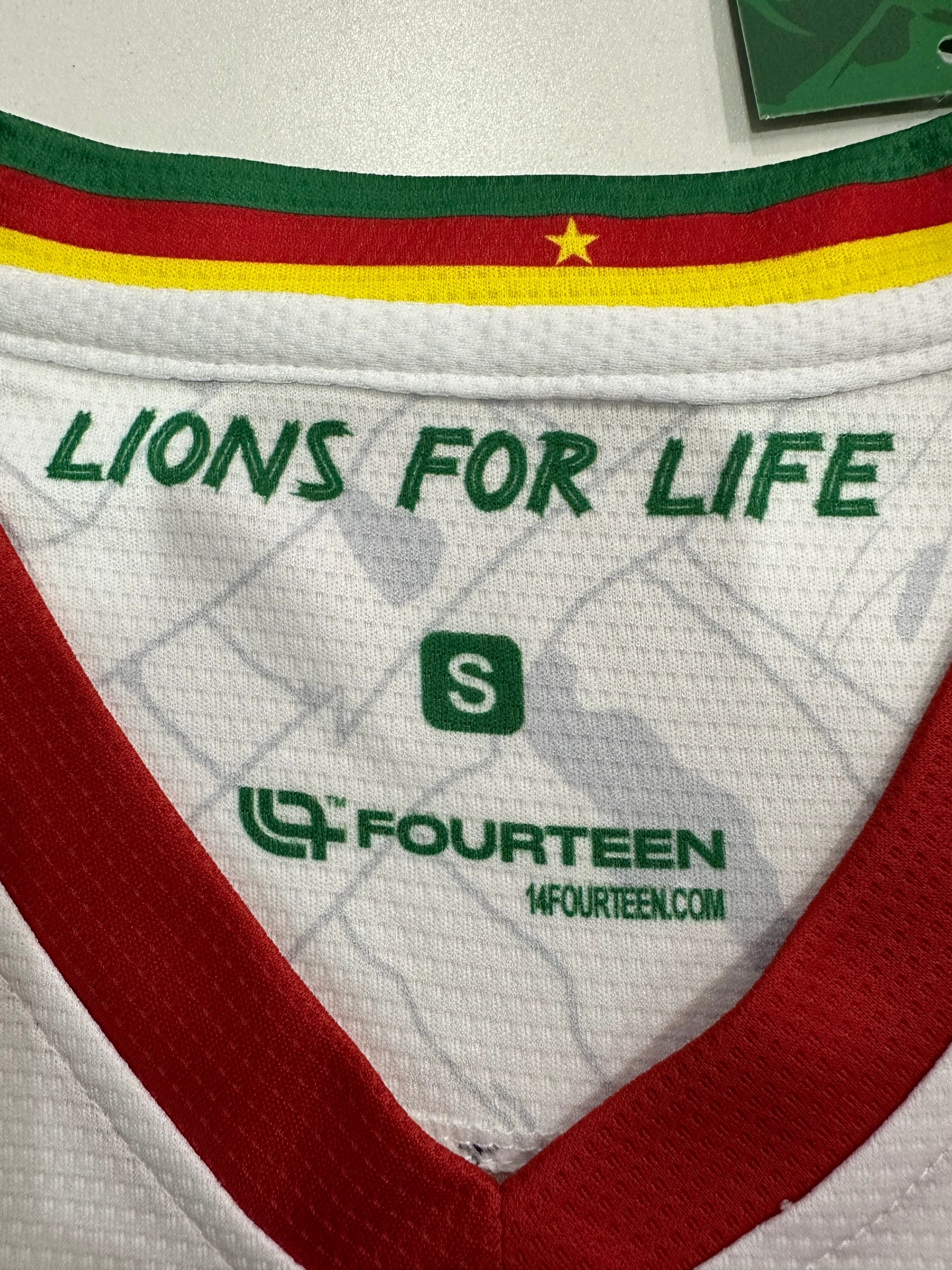 2025-26 Cameroon Second Away Jersey view 3