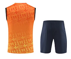 2024-25 Barcelona vest training jersey view 17