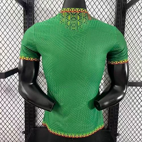 2025-26 Mali Home and Away Jerseys - Player Version view 2