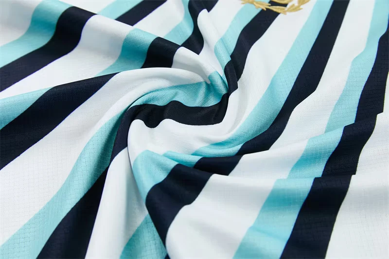 2026-27 Argentina Blue and White Short-Sleeve Training Jersey view 4