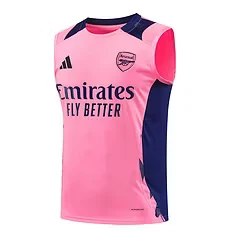 2024-25 Arsenal training vest jersey view 15