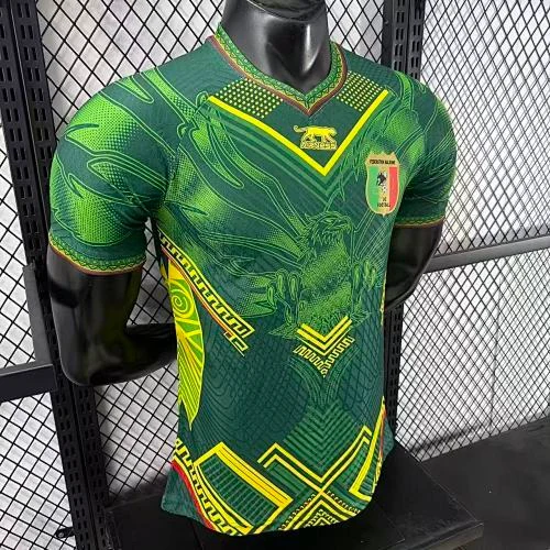 2025-26 Mali Home and Away Jerseys - Player Version view 4