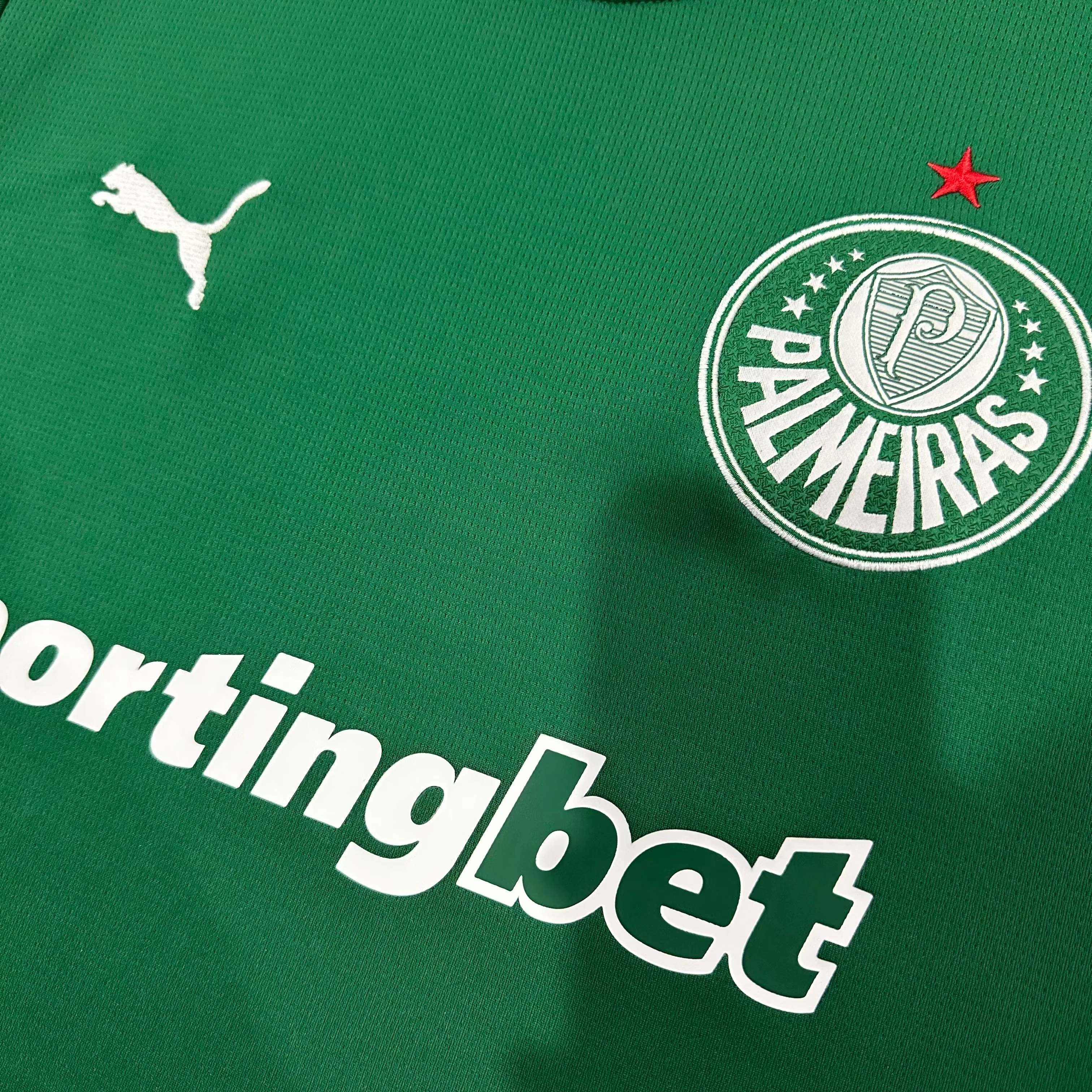 2026-27 Palmeiras Home Jersey – Fan Version view 6