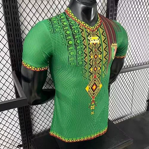 2025-26 Mali Home and Away Jerseys - Player Version view 4