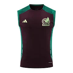 2024-25 Mexico training vest jersey view 17