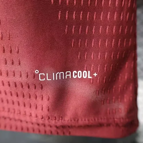 2026 Qatar Home Jersey - Player Version view 3