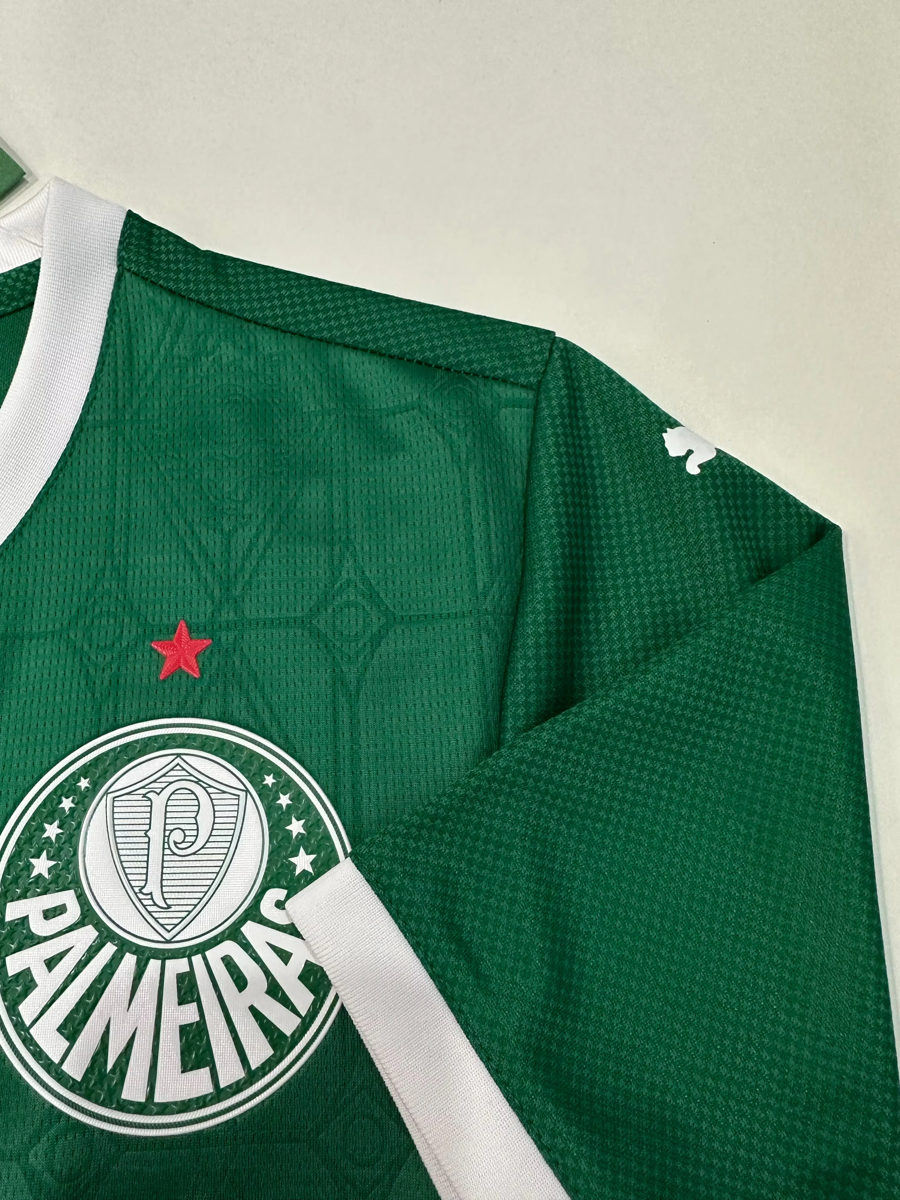 2025-26 Palmeiras Home Jersey – Player Version view 6