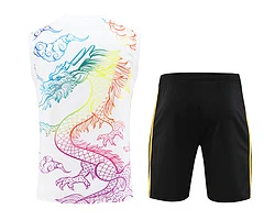 2024-25 Real Madrid Training Vest Jersey view 14