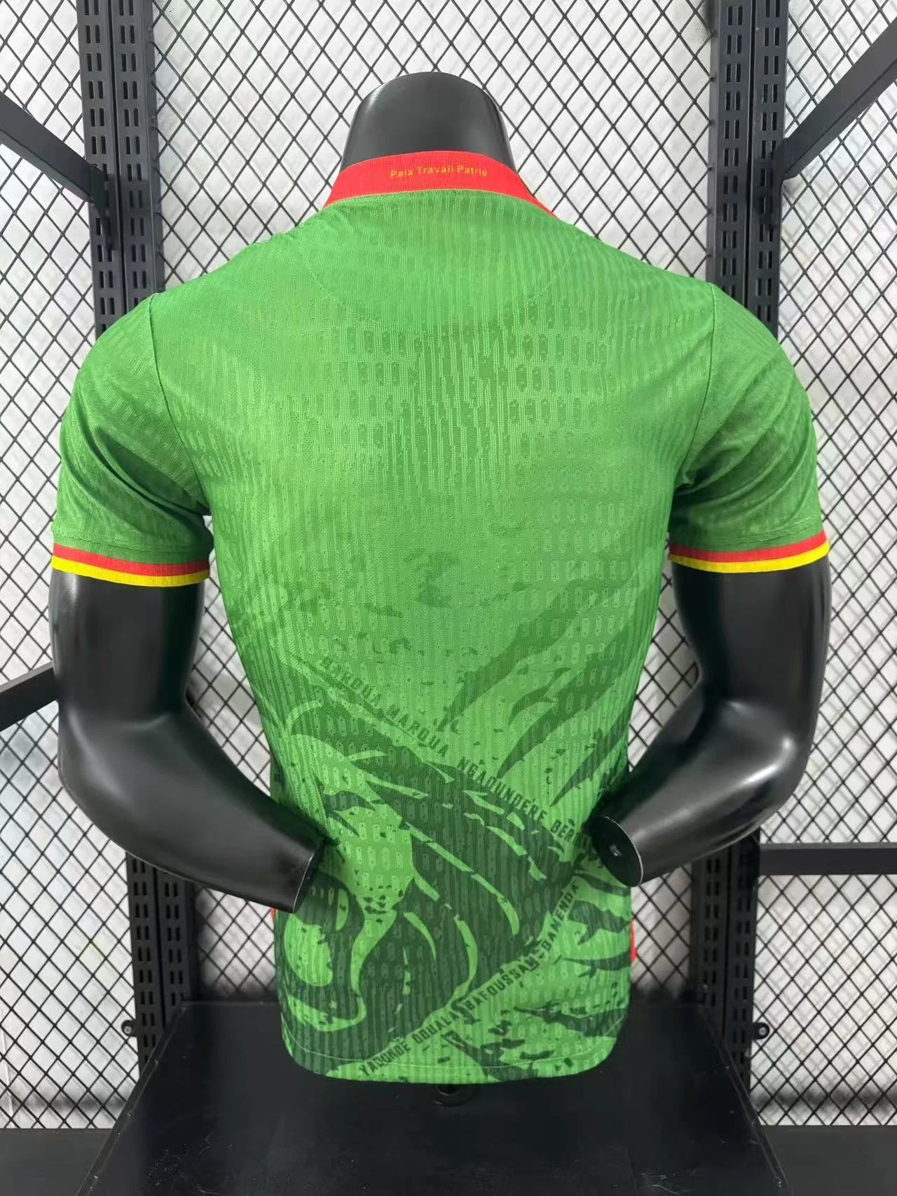 2025-26 Cameroon Home Jersey – Player Version view 2