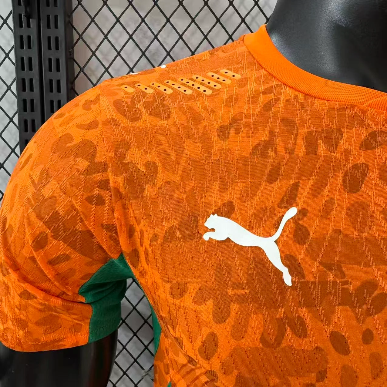 2026-27 Ivory Coast Home Jersey – Player Version view 4