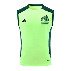 2024-25 Mexico training vest view 17