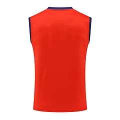 2024-25 Spain training vest jersey view 14