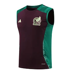 2024-25 Mexico training vest jersey view 16