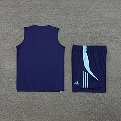 2024-25 Arsenal training vest jersey view 12