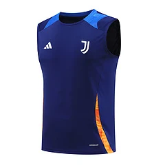 2024-25 Juventus training vest jersey view 13