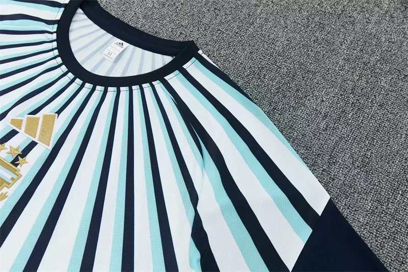 2026-27 Argentina Blue and White Short-Sleeve Training Jersey view 7