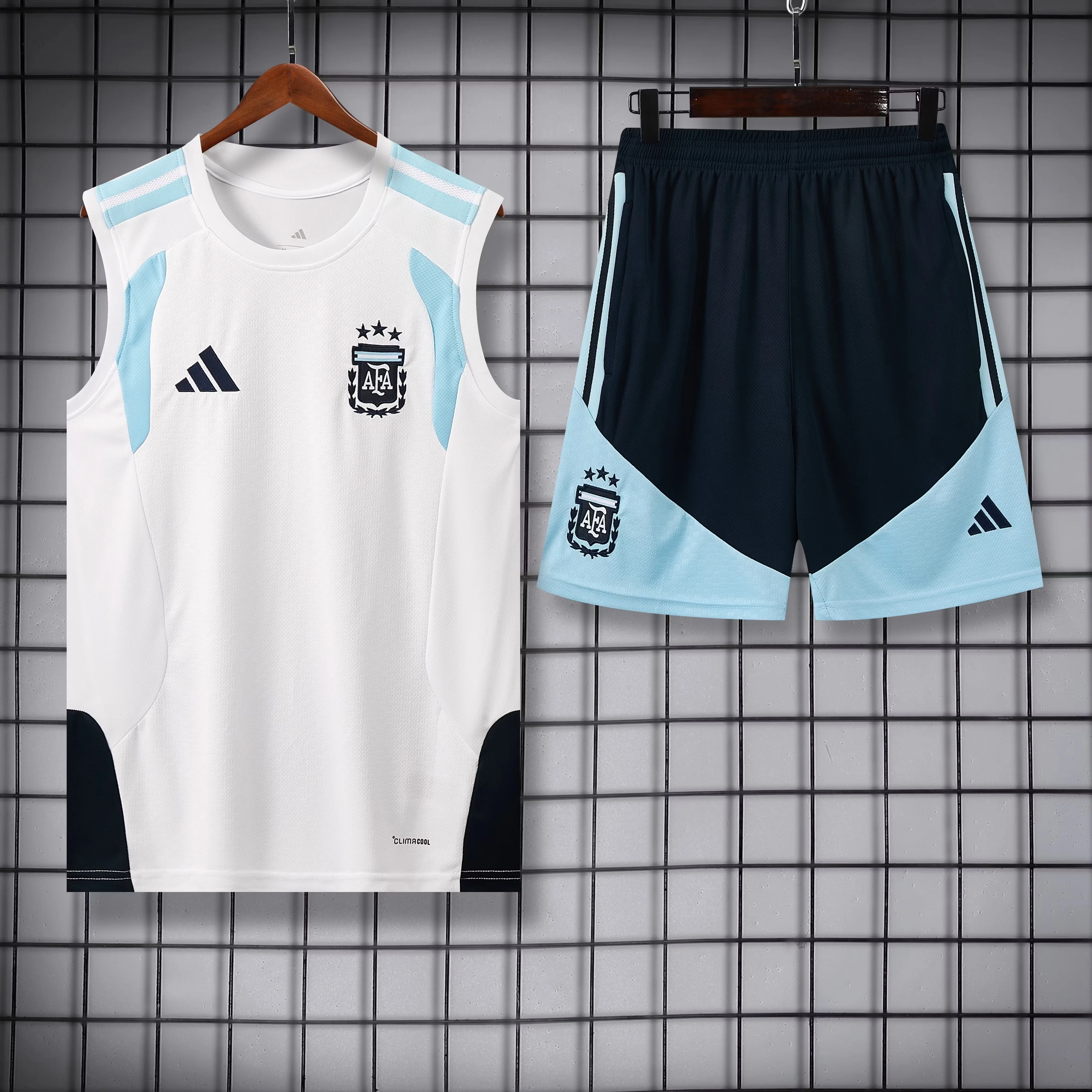 2026-27 Argentina training vest