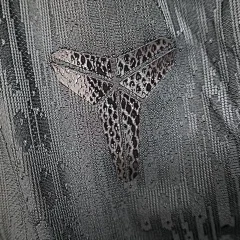 2025-26 Barcelona Away Shorts - Player Edition view 4