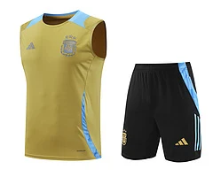 2024-25 Argentina training vest view 20