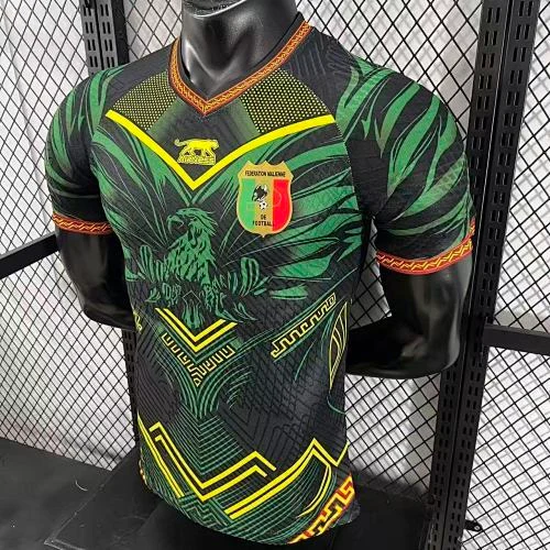 2025-26 Mali Home and Away Jerseys - Player Version view 5
