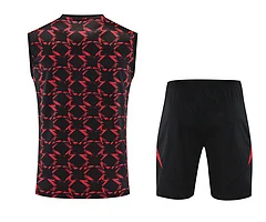 2025-26 Manchester United training vest jersey view 4