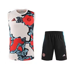 2025-26 Bayern Munich training vest jersey view 17