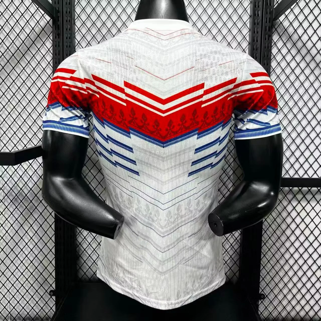 2026-27 France National Team Special Edition Jersey – Player Version view 2