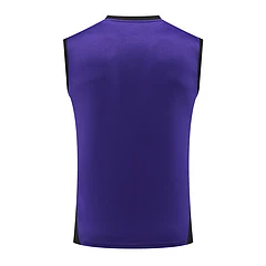 2024-25 Germany training vest jersey view 16
